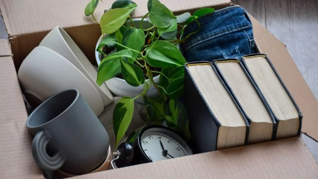 Decluttering your workspace feat